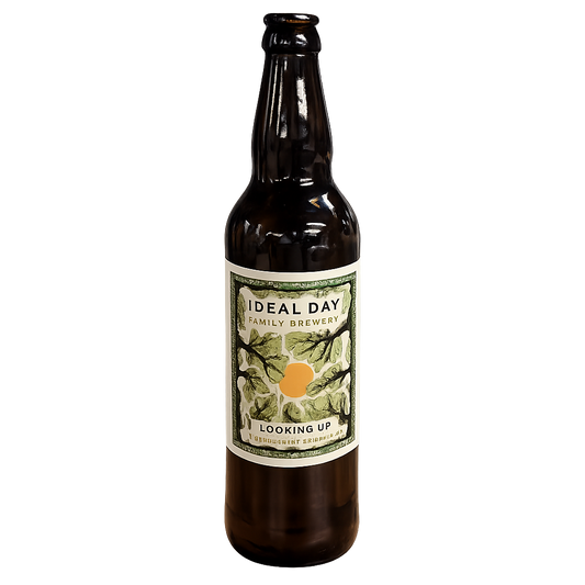 Bottle of Ideal Day Family Brewery beer on a white background